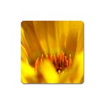 Yellow Color Flower   Magnet (Square)