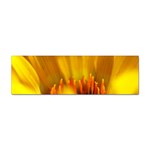 Yellow Color Flower   Sticker Bumper (10 pack)