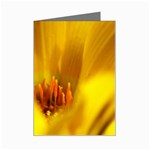 Yellow Color Flower   Mini Greeting Cards (Pkg of 8)