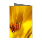 Yellow Color Flower   Mini Greeting Cards (Pkg of 8)