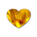 Yellow Color Flower   Heart Coaster (4 pack)
