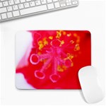 What inside Flowers  Small Mousepad