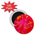 What inside Flowers  1.75  Magnet (100 pack) 