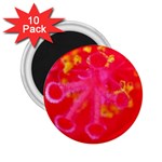 What inside Flowers  2.25  Magnet (10 pack)