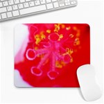 What inside Flowers  Large Mousepad