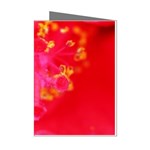 What inside Flowers  Mini Greeting Cards (Pkg of 8)