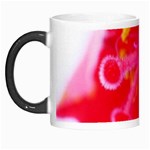 What inside Flowers  Morph Mug