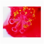 What inside Flowers  Glasses Cloth (Small)