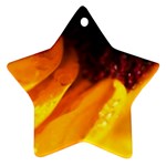 Wet Yellow Flowers 3  Ornament (Star)