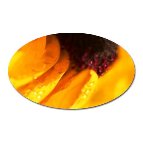 Wet Yellow Flowers 3  Magnet (Oval) from UrbanLoad.com Front
