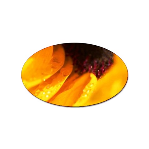 Wet Yellow Flowers 3  Sticker Oval (10 pack) from UrbanLoad.com Front