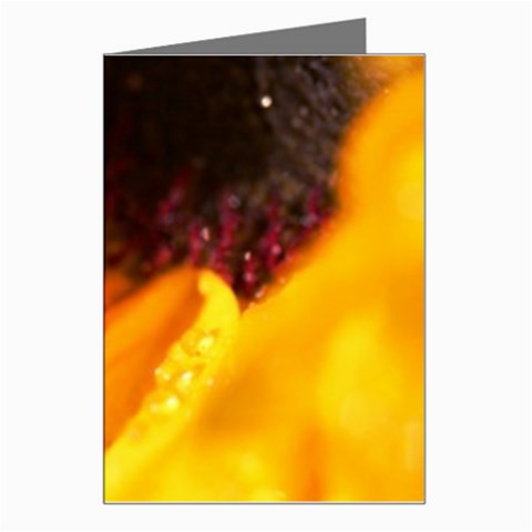 Wet Yellow Flowers 3  Greeting Card from UrbanLoad.com Left