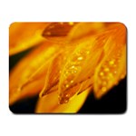 Wet Yellow Flowers 1   Small Mousepad