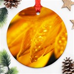 Wet Yellow Flowers 1   Ornament (Round)