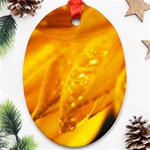 Wet Yellow Flowers 1   Ornament (Oval)