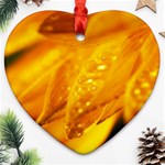 Wet Yellow Flowers 1   Ornament (Heart)