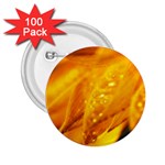 Wet Yellow Flowers 1   2.25  Button (100 pack)