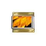 Wet Yellow Flowers 1   Gold Trim Italian Charm (9mm)