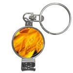 Wet Yellow Flowers 1   Nail Clippers Key Chain