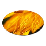 Wet Yellow Flowers 1   Magnet (Oval)