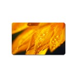 Wet Yellow Flowers 1   Magnet (Name Card)