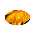 Wet Yellow Flowers 1   Sticker Oval (100 pack)