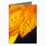 Wet Yellow Flowers 1   Greeting Cards (Pkg of 8)