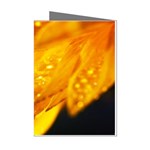 Wet Yellow Flowers 1   Mini Greeting Cards (Pkg of 8)