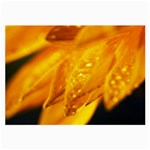 Wet Yellow Flowers 1   Glasses Cloth (Large)