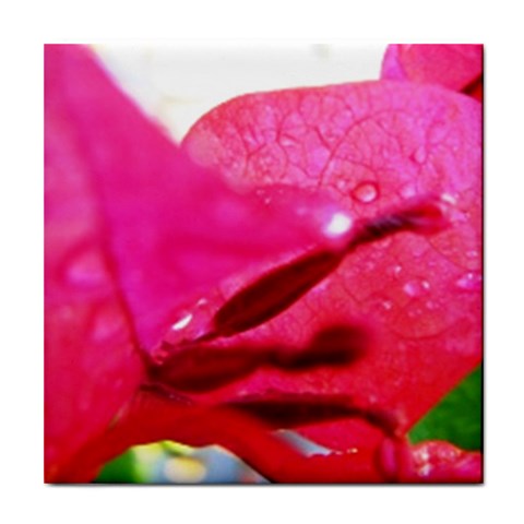 Wet Pink Rose  Tile Coaster from UrbanLoad.com Front