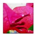 Wet Pink Rose  Tile Coaster