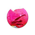Wet Pink Rose  Magnet 3  (Round)