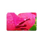 Wet Pink Rose  Magnet (Name Card)