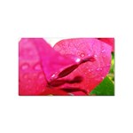 Wet Pink Rose  Sticker Rectangular (100 pack)