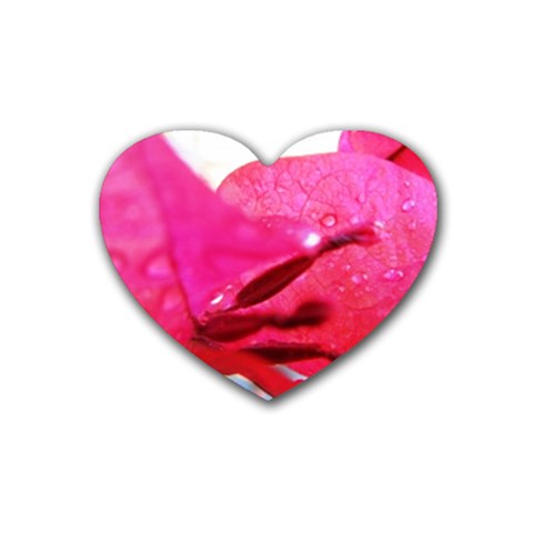 Wet Pink Rose  Heart Coaster (4 pack) from UrbanLoad.com Front