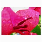 Wet Pink Rose  Glasses Cloth (Large)