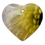 Water Drops on Flower 4  Ornament (Heart)