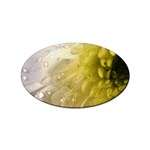 Water Drops on Flower 4  Sticker Oval (10 pack)