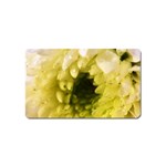 Water Drops on Flower 3   Magnet (Name Card)