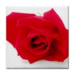 Very Red Rose  Tile Coaster