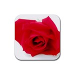 Very Red Rose  Rubber Square Coaster (4 pack)