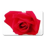 Very Red Rose  Magnet (Rectangular)