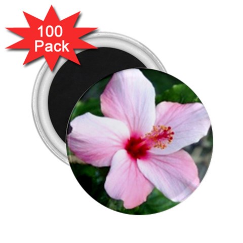 Very Pink Flower  2.25  Magnet (100 pack)  from UrbanLoad.com Front