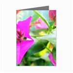 Trangle Flower  Mini Greeting Card