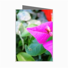 Trangle Flower  Mini Greeting Card from UrbanLoad.com Right