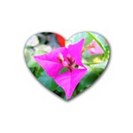 Trangle Flower  Rubber Coaster (Heart)