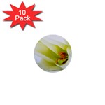 The White Flower  1  Mini Button (10 pack) 