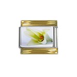 The White Flower  Gold Trim Italian Charm (9mm)