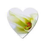The White Flower  Magnet (Heart)