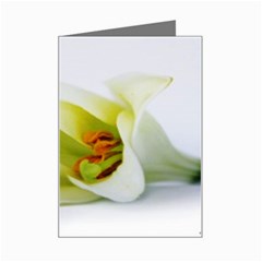 The White Flower  Mini Greeting Card from UrbanLoad.com Left